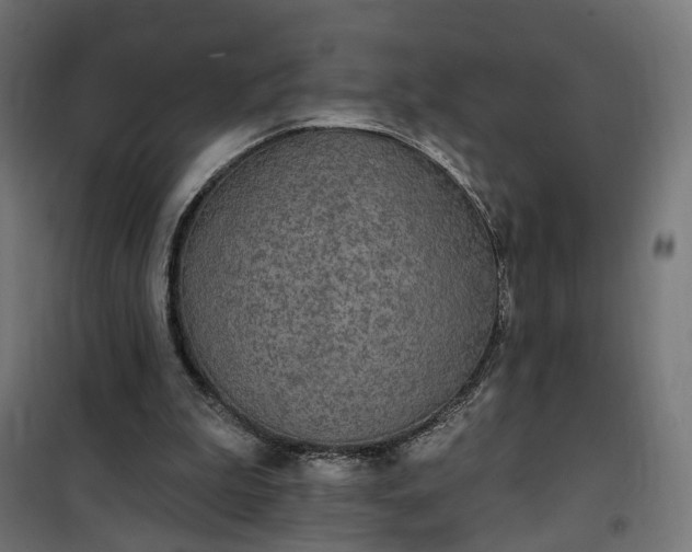 X0000100500199200806201723