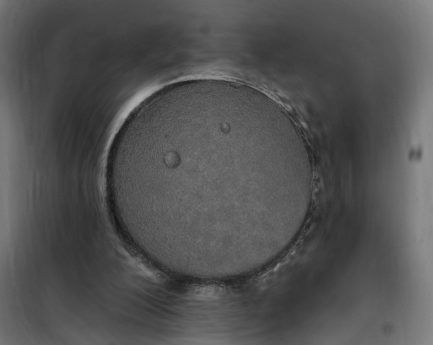 X0000100500200200806201722