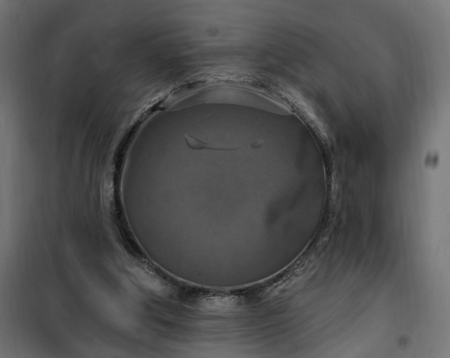 X0000100500202200806201722