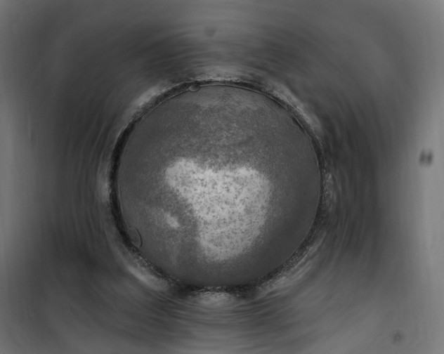 X0000100500203200806201722