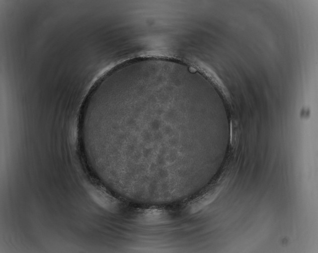 X0000100500204200806201722