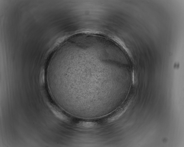 X0000100500205200806201722