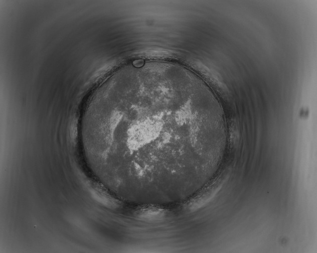 X0000100500206200806201722