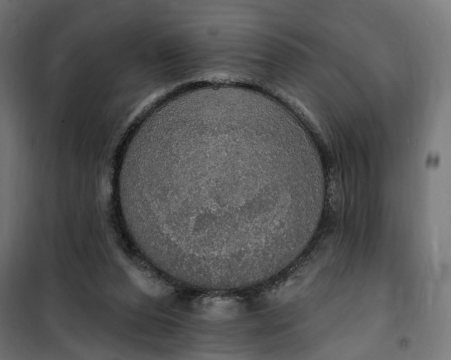 X0000100500208200806201722