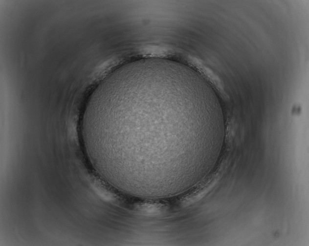 X0000100500209200806201722