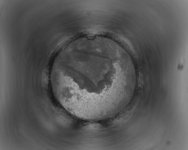 X0000100500210200806201722