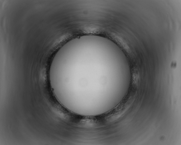 X0000100500211200806201722