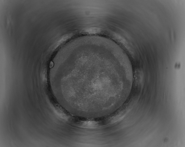 X0000100500212200806201722