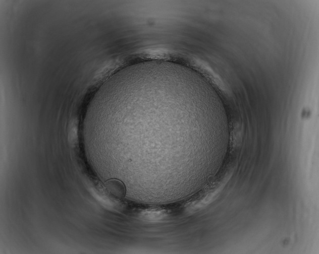 X0000100500213200806201722