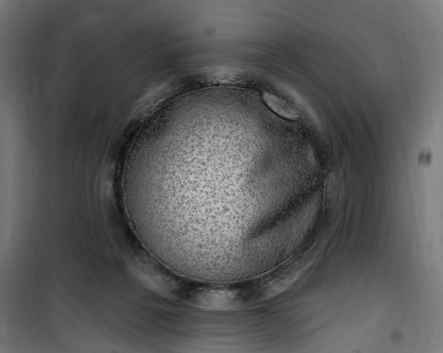 X0000100500217200806201722