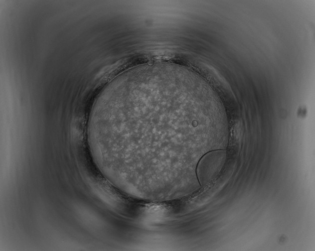 X0000100500218200806201722