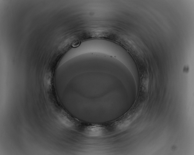 X0000100500219200806201722