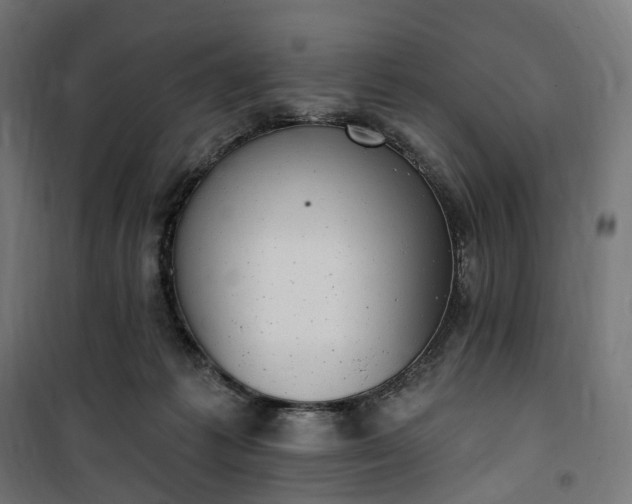 X0000100500221200806201722