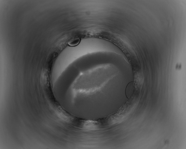 X0000100500222200806201722