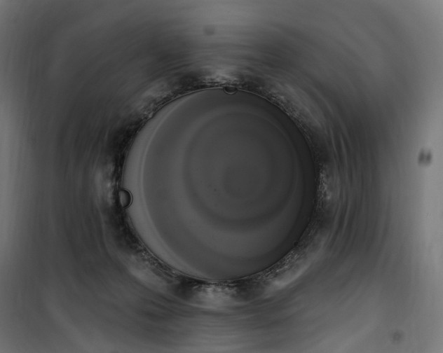 X0000100500223200806201722