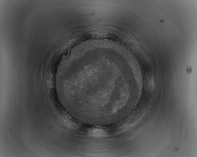 X0000100500224200806201722