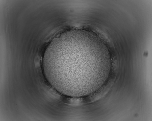 X0000100500225200806201722