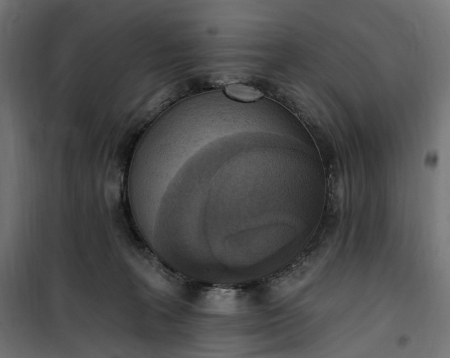 X0000100500227200806201722