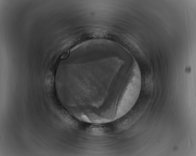 X0000100500228200806201722