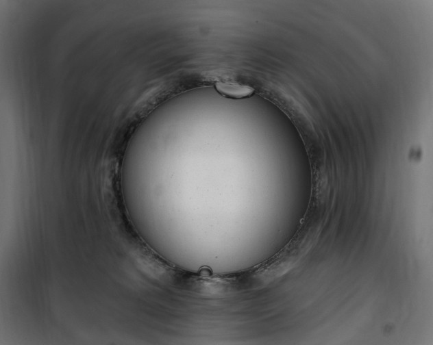 X0000100500229200806201722