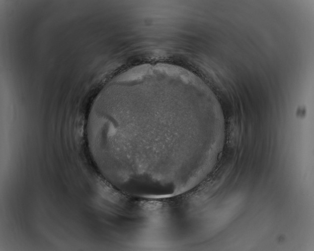 X0000100500230200806201722