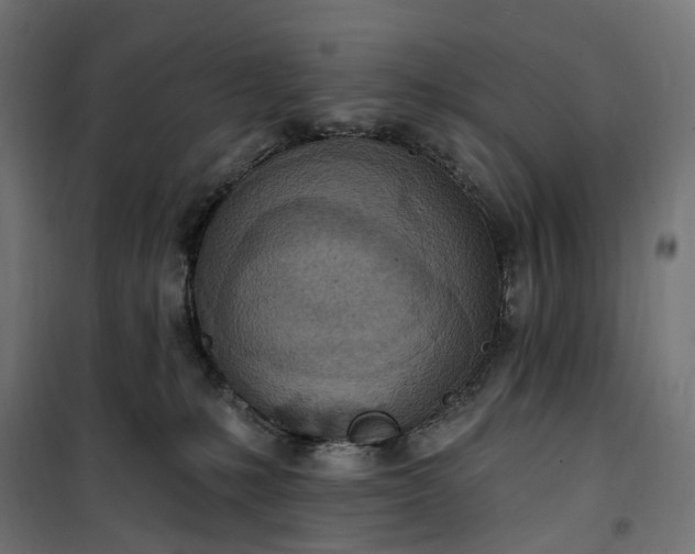 X0000100500231200806201722