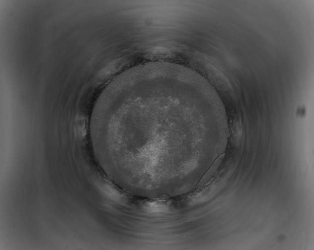 X0000100500232200806201722