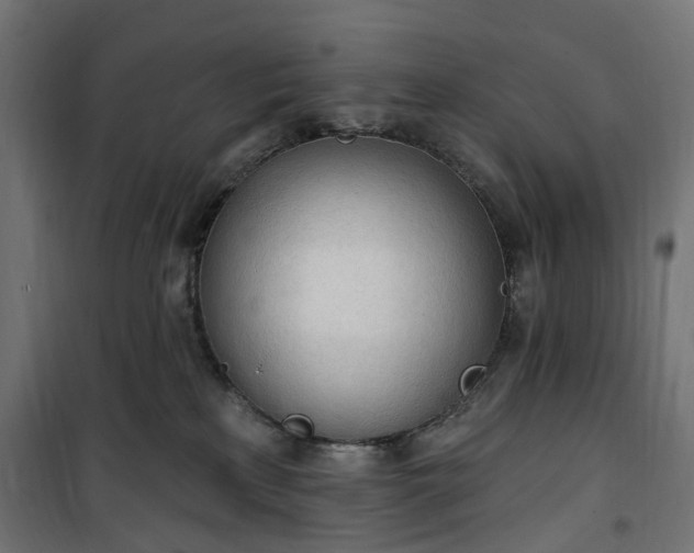 X0000100500233200806201722