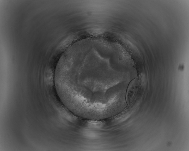 X0000100500234200806201722