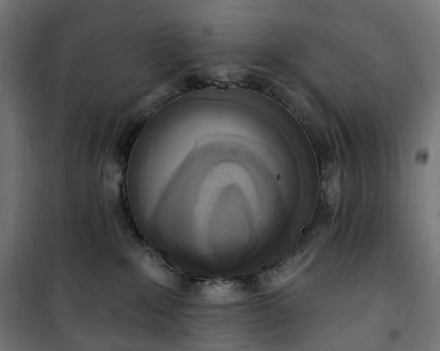 X0000100500235200806201722