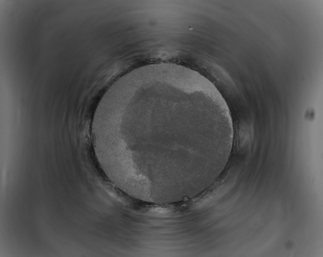 X0000100500236200806201722