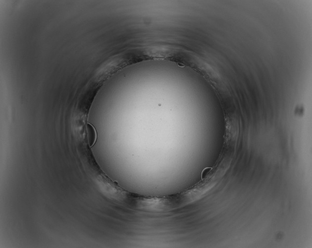 X0000100500237200806201722