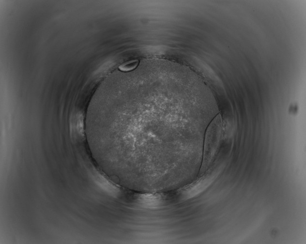 X0000100500238200806201722