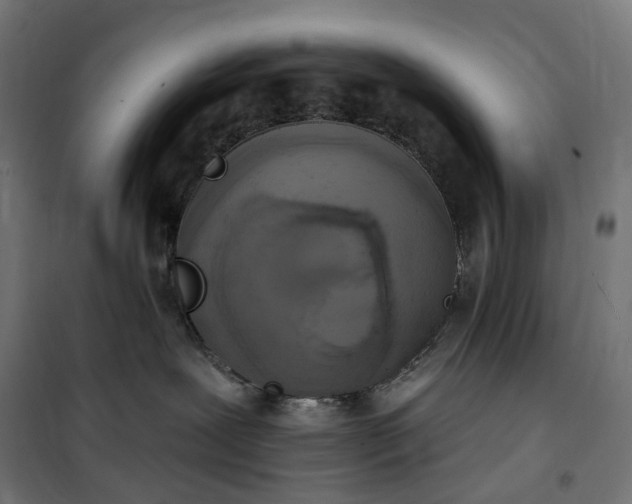 X0000100500239200806201722