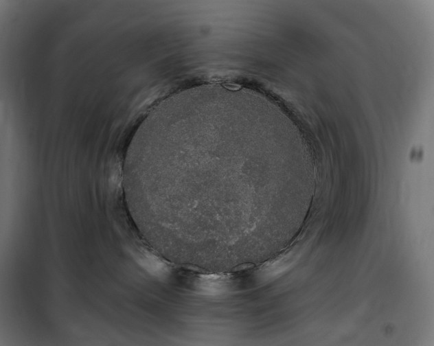 X0000100500240200806201722