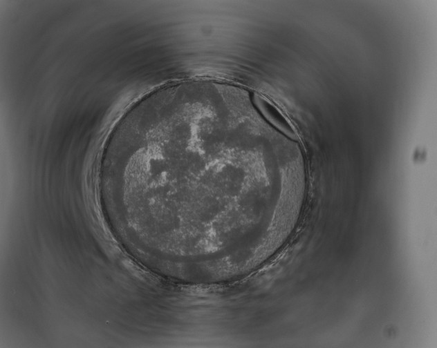 X0000100500241200806201721