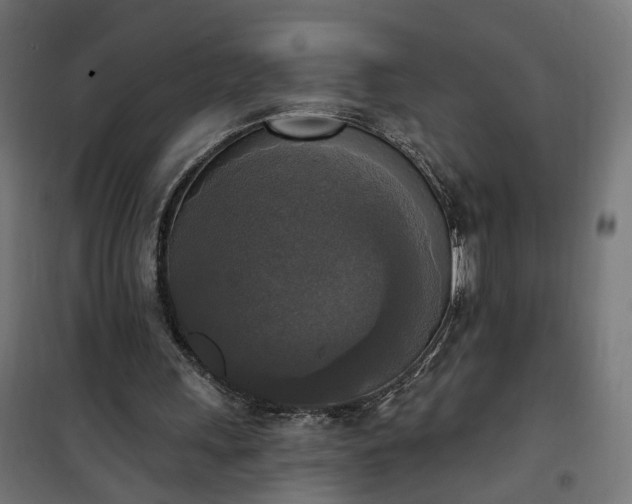 X0000100500243200806201721