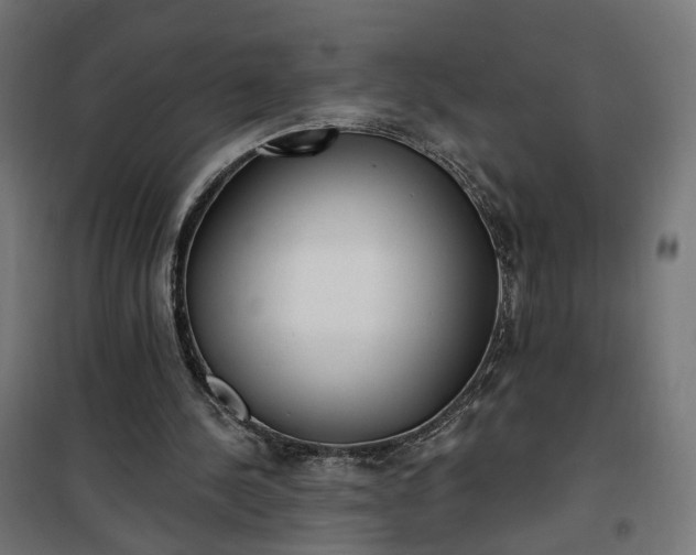 X0000100500244200806201721