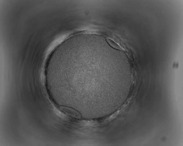 X0000100500245200806201721