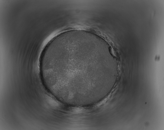 X0000100500246200806201721