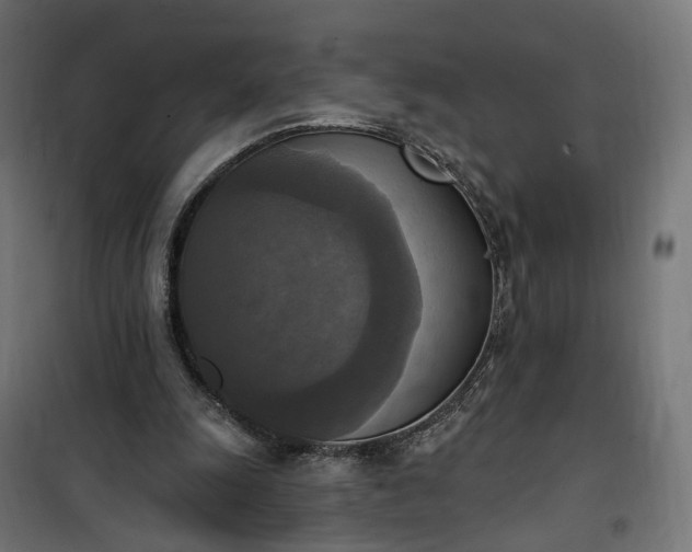 X0000100500247200806201721