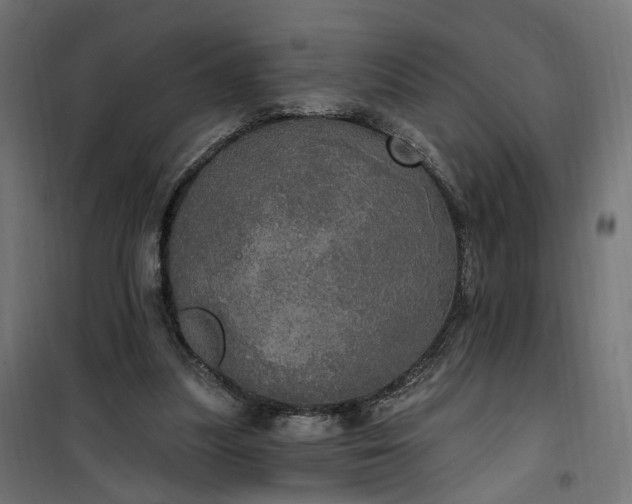 X0000100500251200806201721