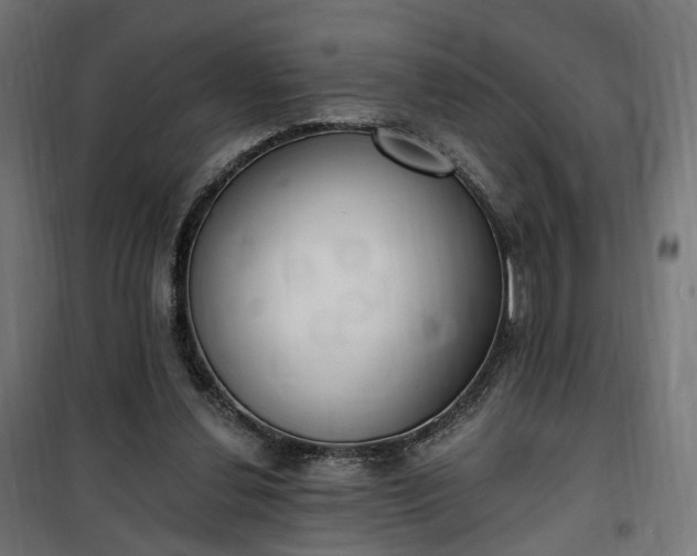 X0000100500252200806201721