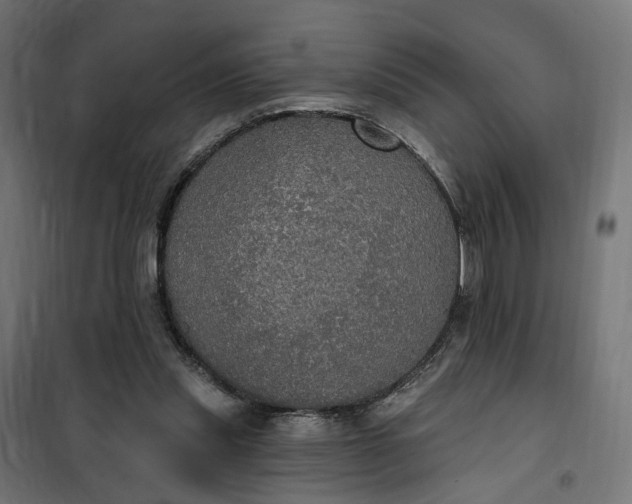 X0000100500253200806201721