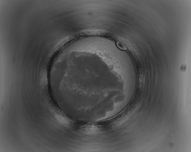 X0000100500254200806201721