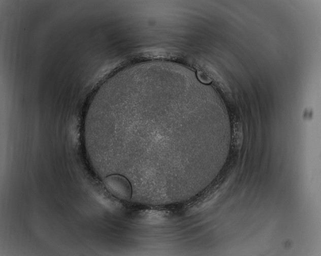 X0000100500255200806201721