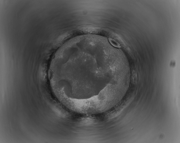 X0000100500259200806201721