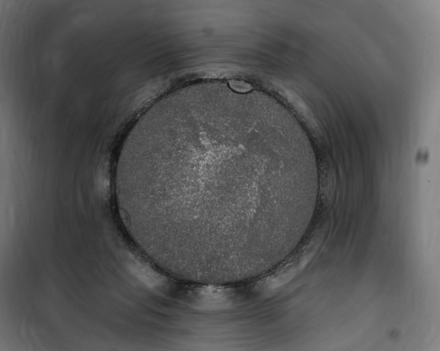 X0000100500261200806201721