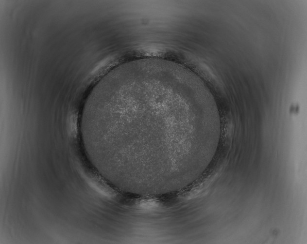 X0000100500262200806201721