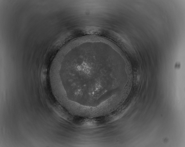 X0000100500263200806201722